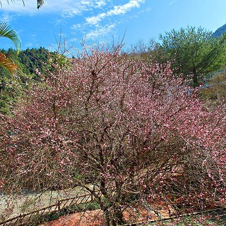 Li Jin Kuan Homestay 南庄郷 エクステリア 写真